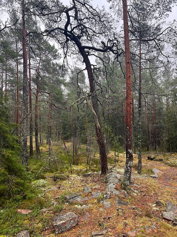 Sammalvuori - Image 1