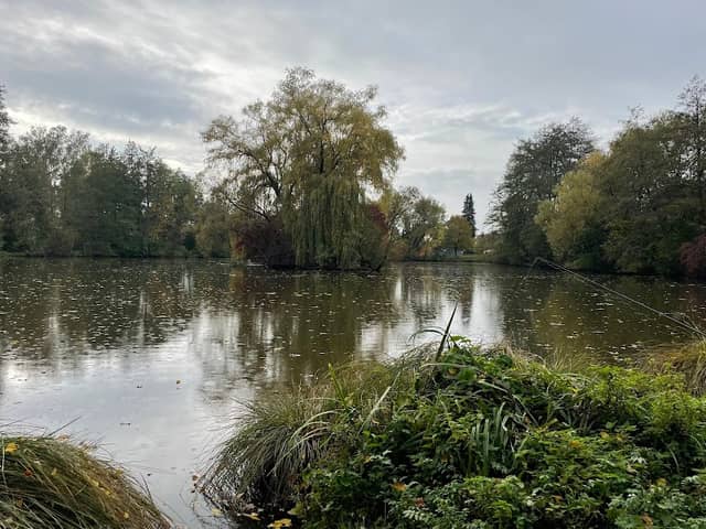 Weiher - Image 1