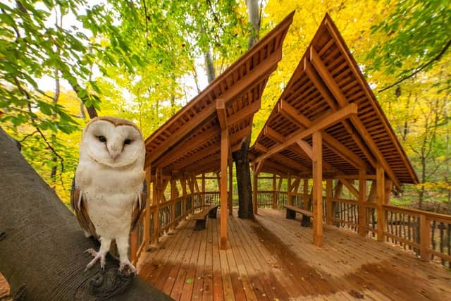 Ohio Bird Sanctuary - Image 1