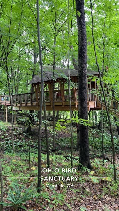 Ohio Bird Sanctuary - Image 2