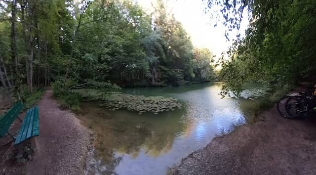 Waldsee - Image 1