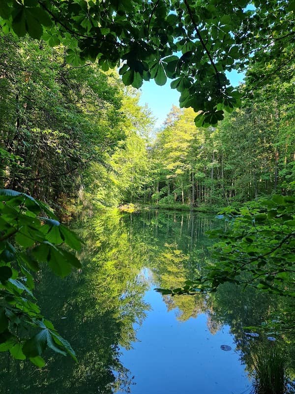Waldsee - Image 2