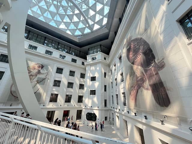 National Museum of Natural History - Image 2