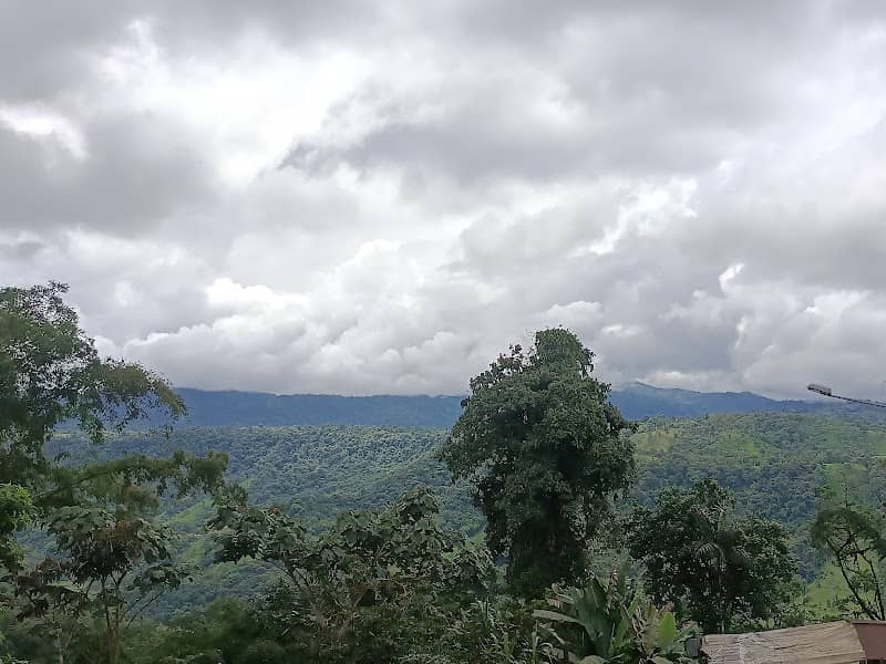 Brisas del Río Blanco - Image 1