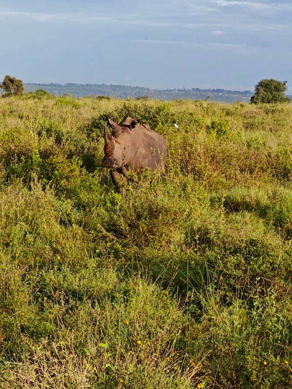 Nairobi National Park Main Gate - Image 3