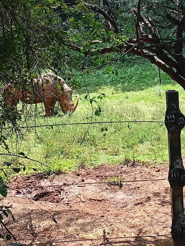 Nairobi National Park Main Gate - Image 1