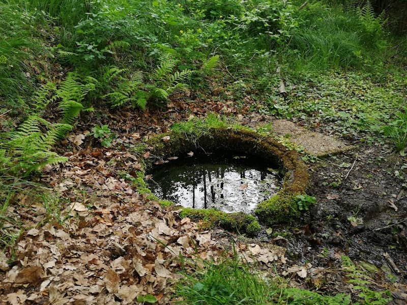 Magyarlaki Szentkút-forrás - Image 1