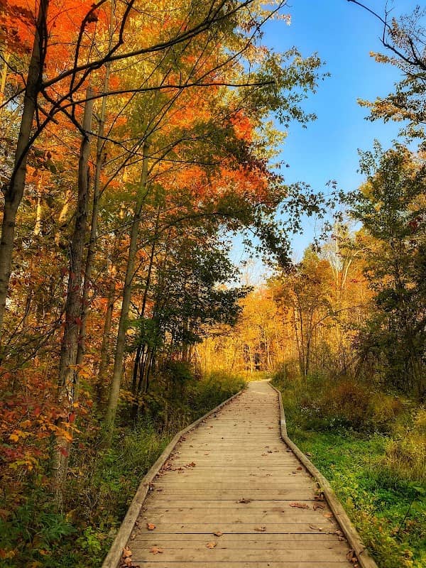 Halton Hills Trail - Image 1