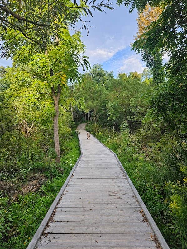 Halton Hills Trail - Image 2