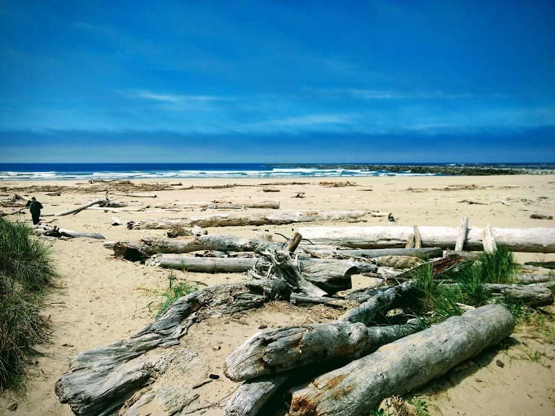 Ziolkouski Beach Park - Image 1