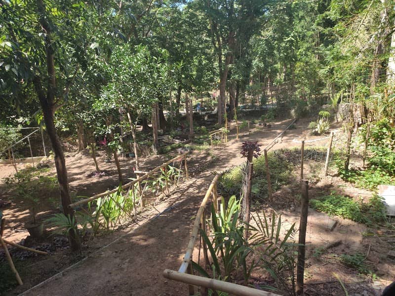 TORRIJOS MUNICIPAL NURSERY - Image 1