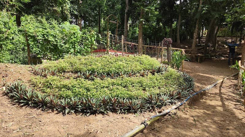 TORRIJOS MUNICIPAL NURSERY - Image 2
