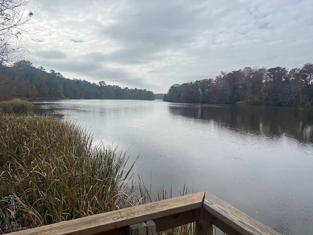 Bainbridge Boat Basin Park - Image 2
