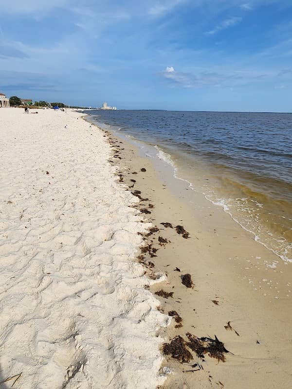 Mississippi Gulf Coast - Image 2