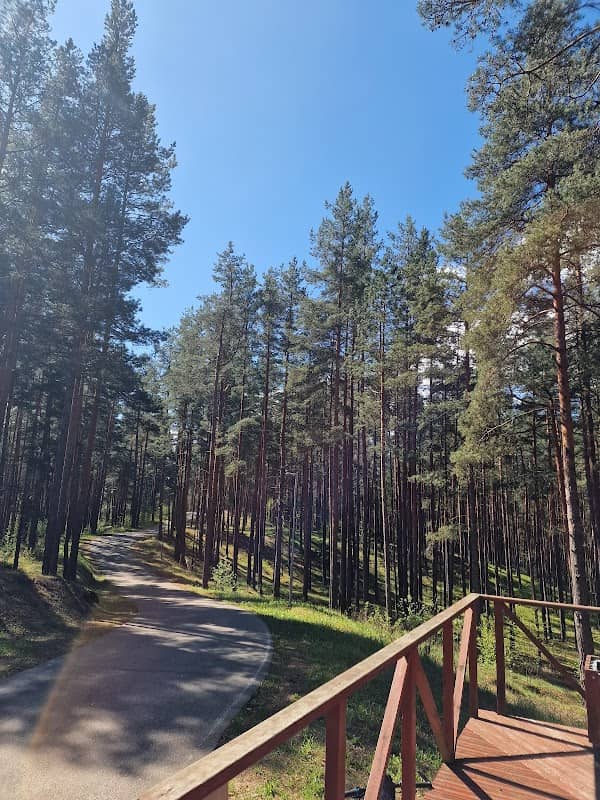 Zilā kalna terase - Image 1