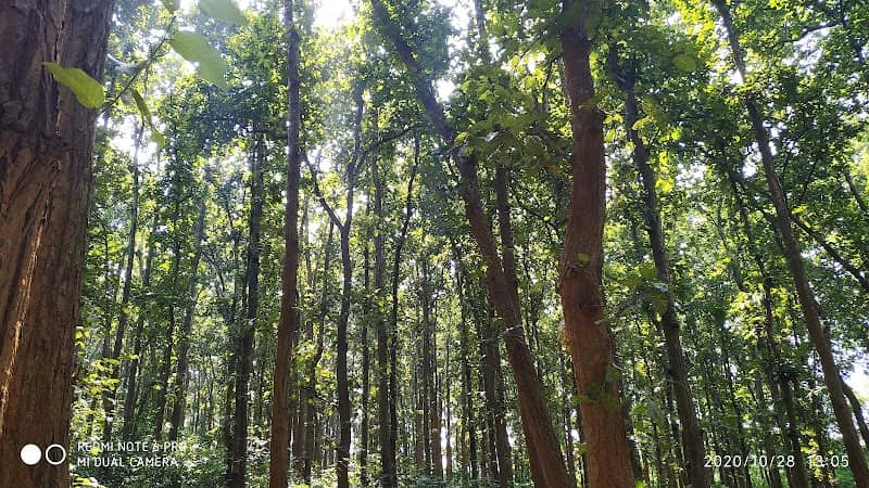 Gundichapur Mountain - Image 1