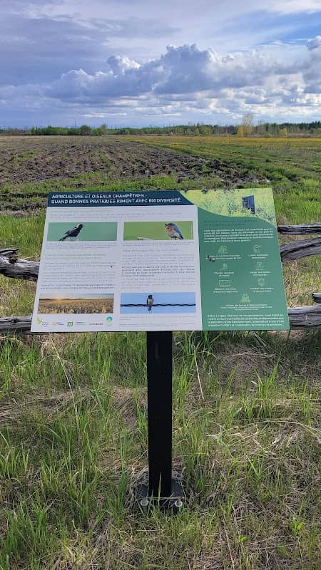 Place pour observer les oiseaux champêtres - Image 2
