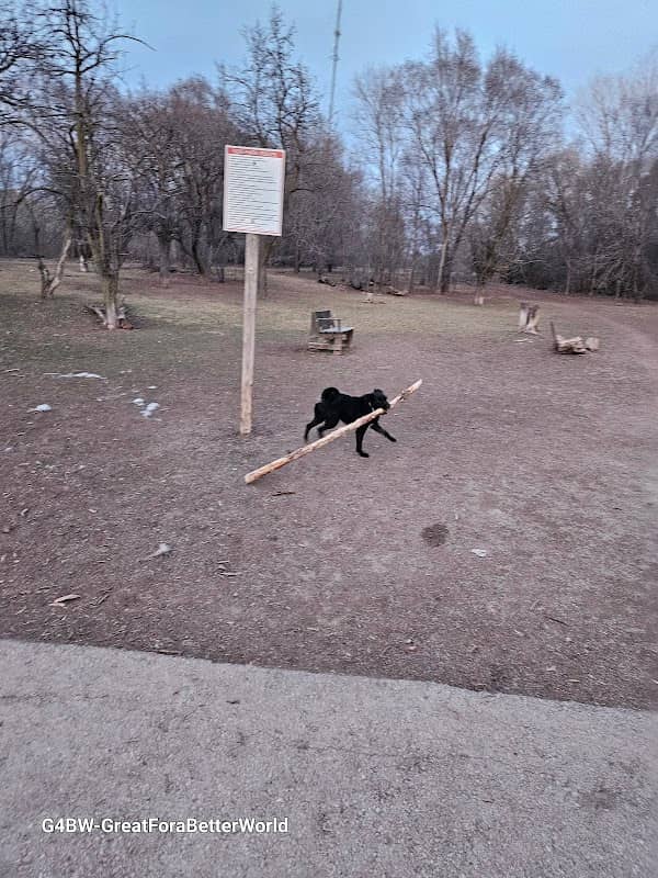 Outagamie County Dog Park - Image 1