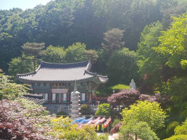 학림사 - Image 1