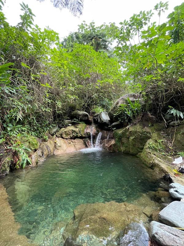 La piscina Natural - Image 1