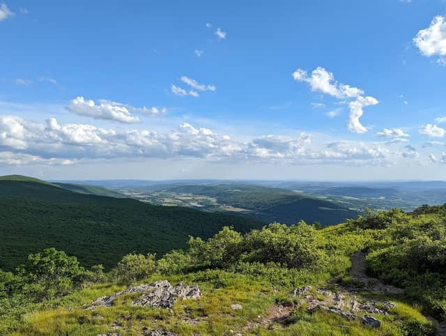 Mount Washington State Forest - Image 2