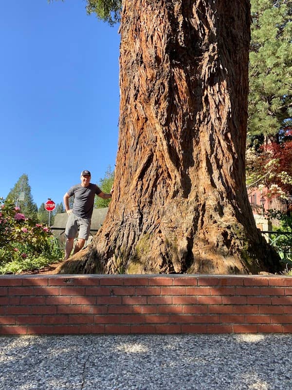 Calanan Park - Image 1