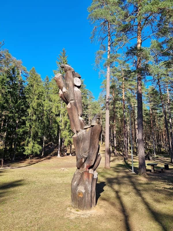 Koka figūru laukums - Image 2