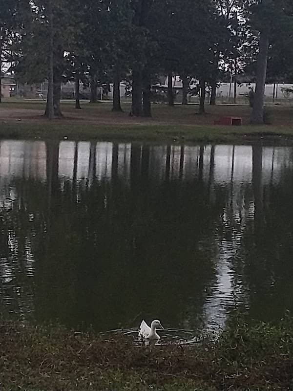 Martin Luther King Jr Park - Image 1