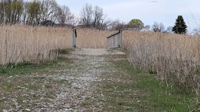 Passanageset Park at Broad Meadows Marsh - Image 3