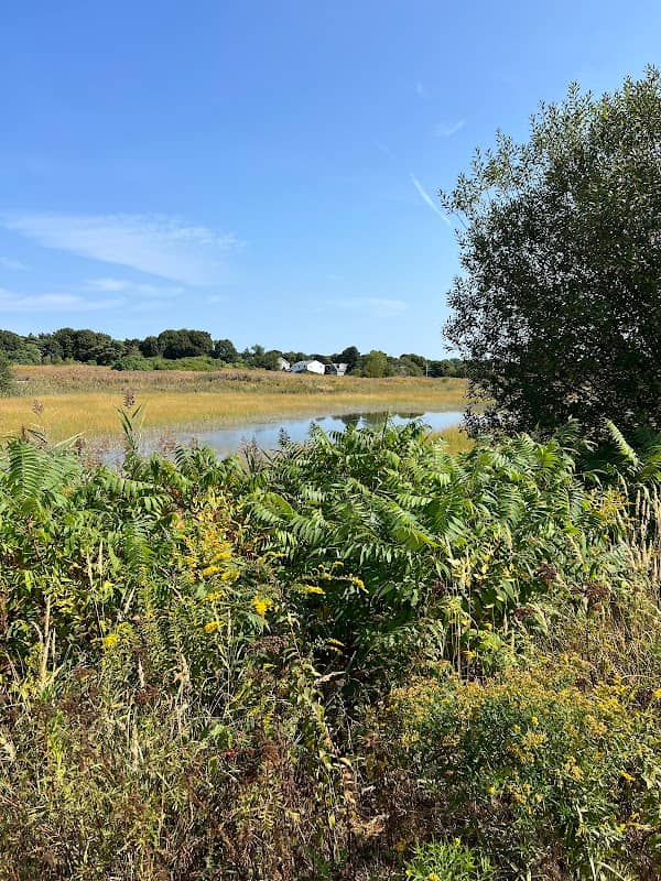 Passanageset Park at Broad Meadows Marsh - Image 2