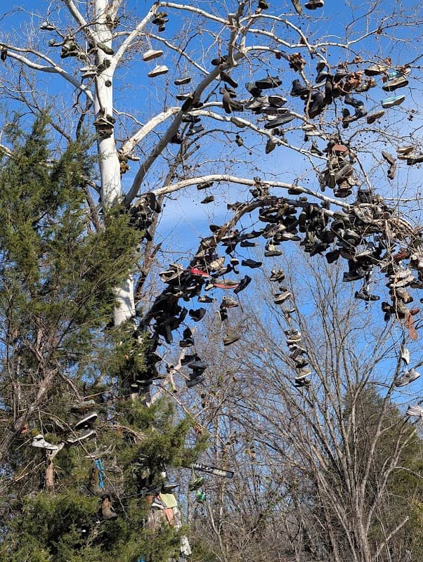 Shoe Tree - Image 1