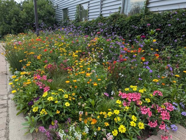 Bovey Gardens - Image 2