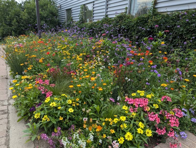Bovey Gardens - Image 2