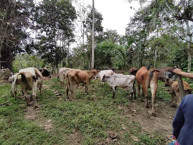 Hacienda Ramos - Image 1
