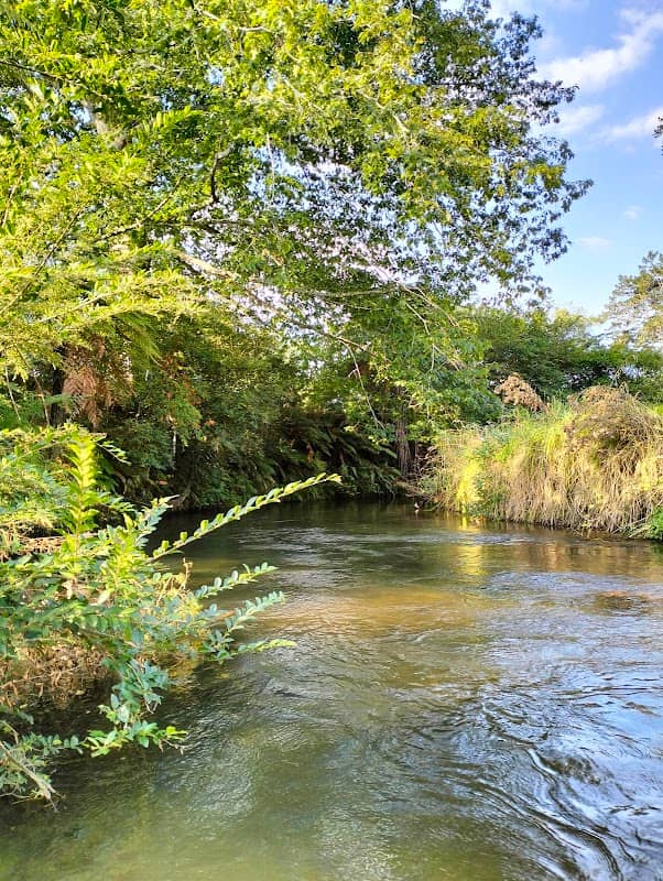 A L Mason reserve - Image 1