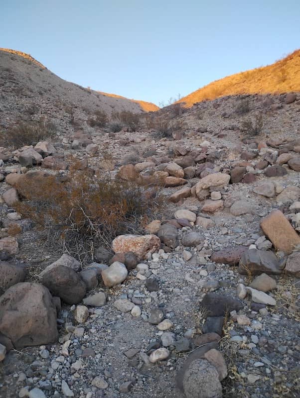 John Hohstadt Interpretive Nature Trail - Image 1