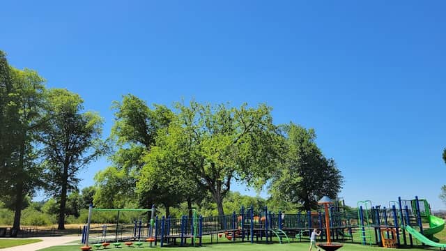 Amazon Park - Image 1