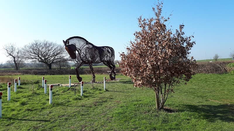 Mill Pond Meadow - Image 2