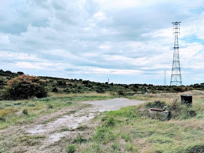 Swanscombe Marshes - Image 2