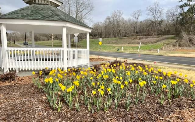 Valley Street Linear Park - Image 2
