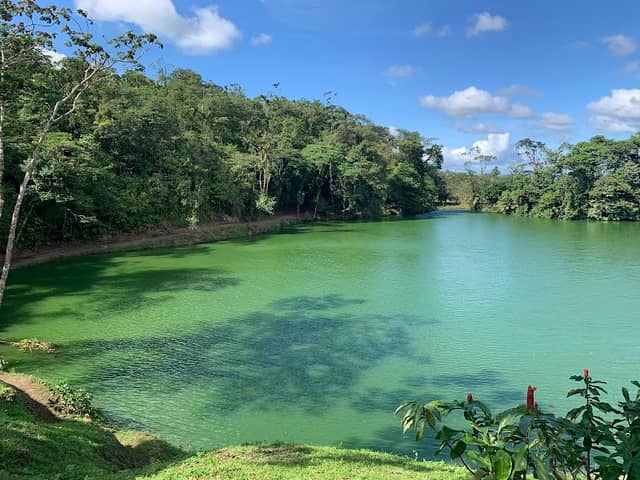 Arenal Park - Image 2