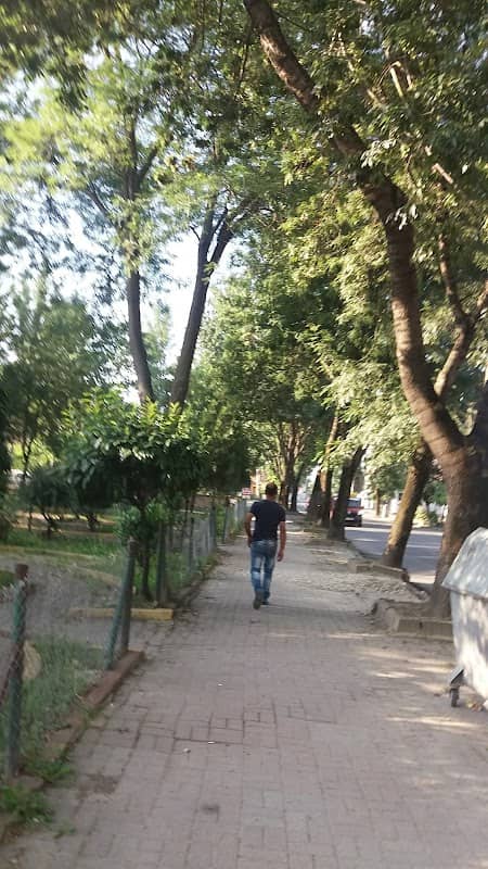 Yeğenler Parkı - Image 2