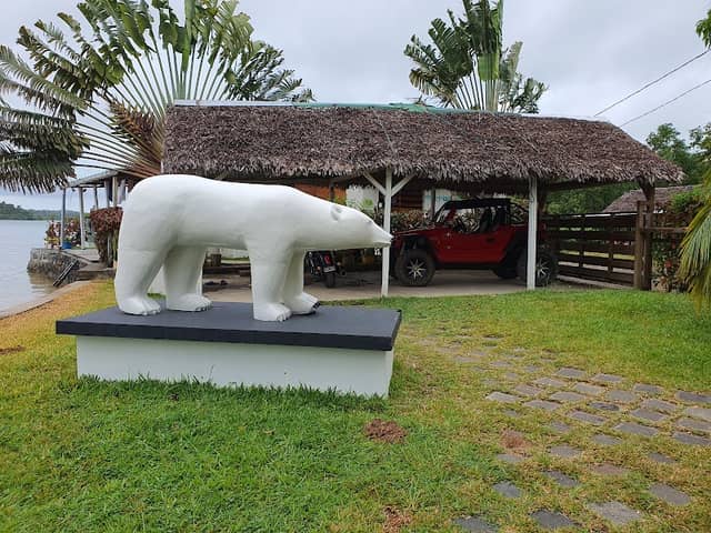 Un ours polaire sur le chemin du cimetière des pirates !!!!! - Image 1