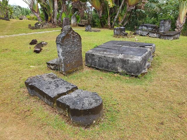 Un ours polaire sur le chemin du cimetière des pirates !!!!! - Image 2