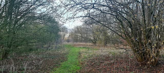 Greens Meadow County Wildlife Site - Image 2