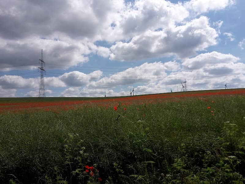 kleiner Park Molsdorf - Image 2