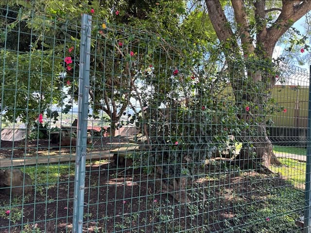 Parque #2 -62 - Image 1