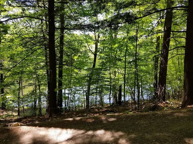 Parc des Bouleaux - Image 2