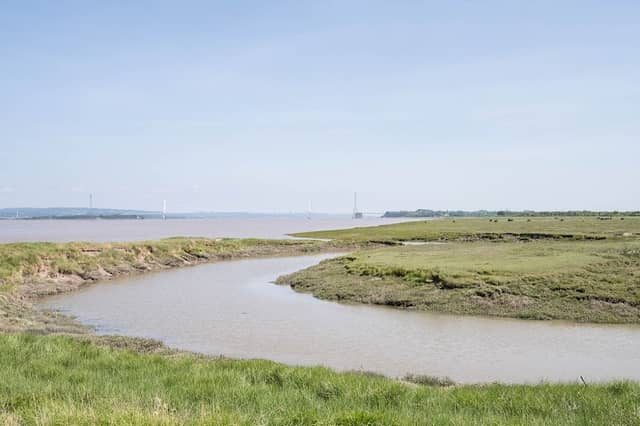 Pilning Wetlands - Image 2