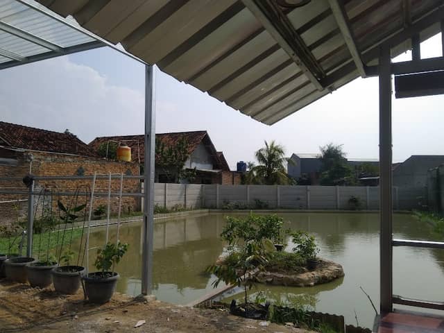 D' Balong Kuring - Image 1